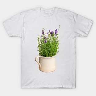 Lavender Plant in a Jug Photo T-Shirt